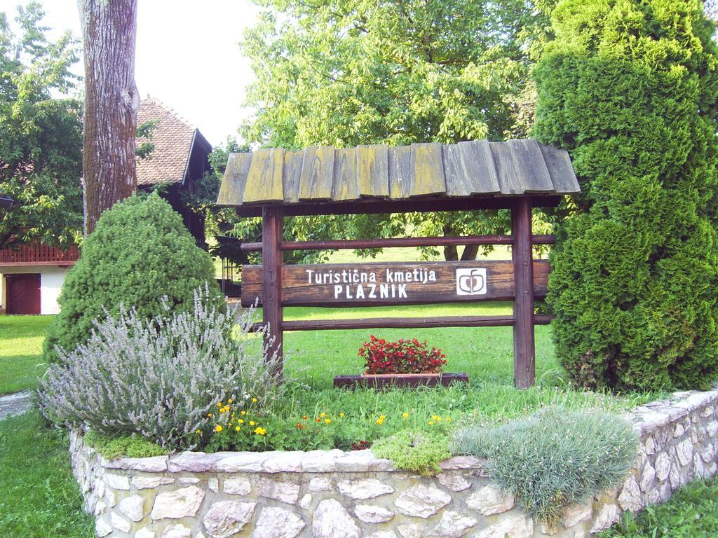Guest House Turisticna Kmetija Plaznik Ljubno ภายนอก รูปภาพ