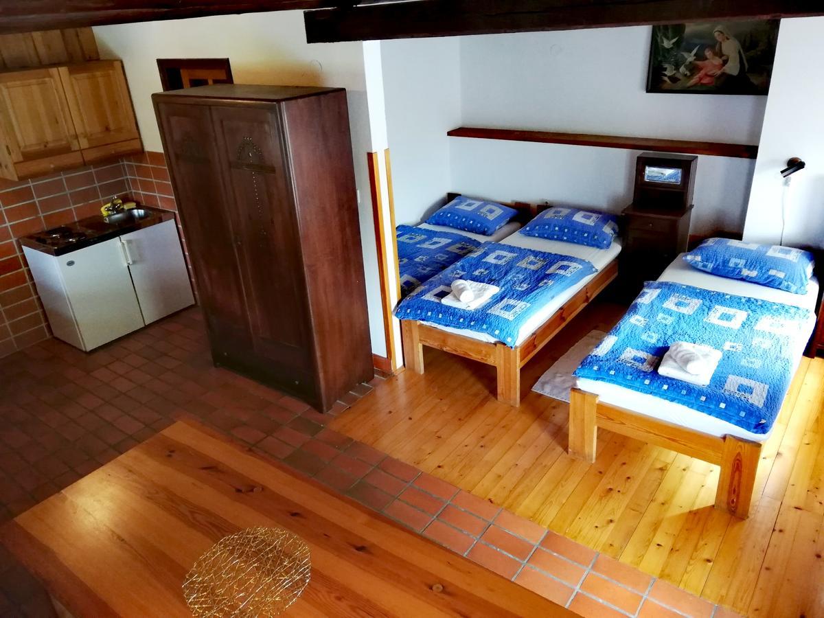 Guest House Turisticna Kmetija Plaznik Ljubno ภายนอก รูปภาพ