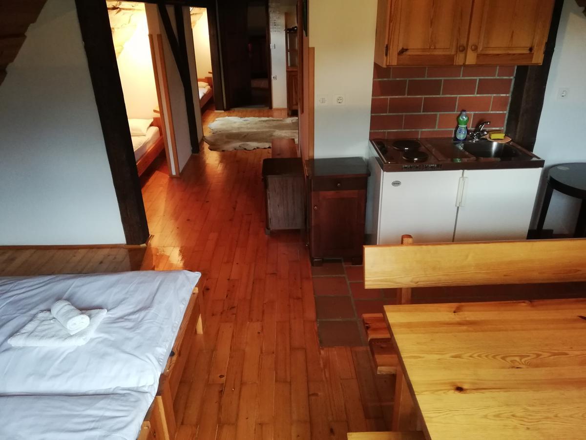 Guest House Turisticna Kmetija Plaznik Ljubno ภายนอก รูปภาพ