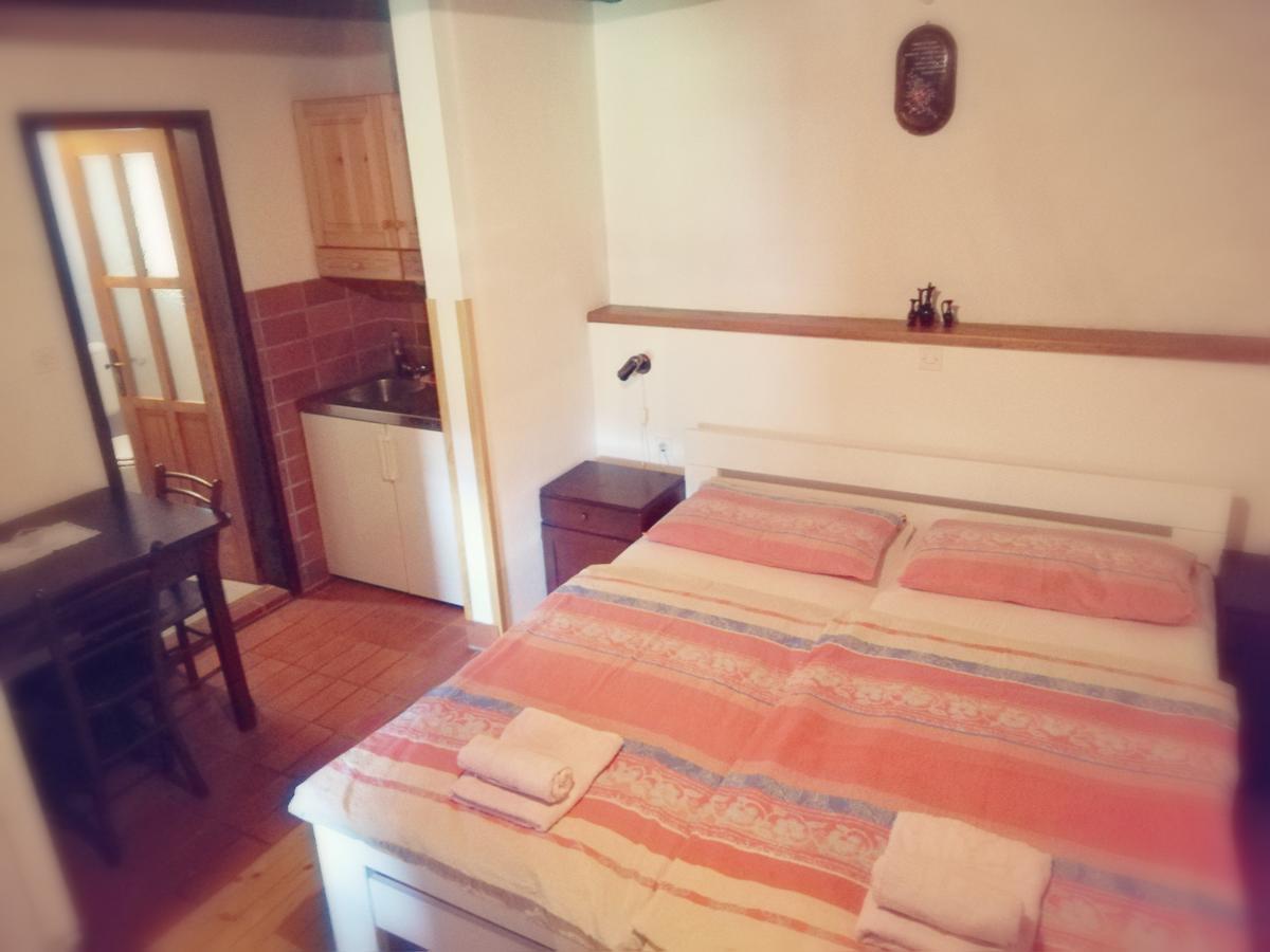 Guest House Turisticna Kmetija Plaznik Ljubno ภายนอก รูปภาพ